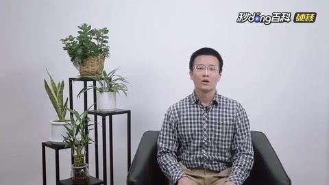 网络爬虫：搜索引擎背后的神秘“蜘蛛侠”