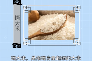 镉大米—镉含量超标的大米