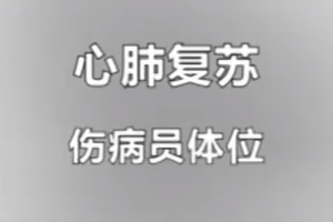 红十字救护员培训课程：心肺复苏-伤病员体位