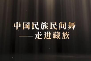 <em>微</em><em>课</em>：早期教育、学前教育<em>专业</em>《舞蹈基础—走进<em>藏族</em><em>民间舞</em><em>之</em>颤膝》