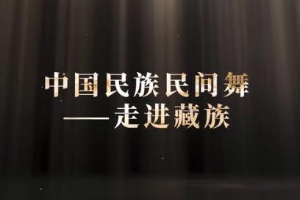 微课：早期教育、学前教育专业《舞蹈基础—走进藏族民间舞之颤膝》