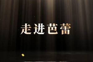 <em>微</em><em>课</em>：<em>早期教育</em>、<em>学前教育</em><em>专业</em>《<em>舞蹈</em><em>基础</em>—<em>走进</em>芭蕾舞》