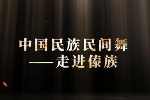 微课：早期教育、学前教育专业《舞蹈基础—走进傣族民间舞之三道弯》