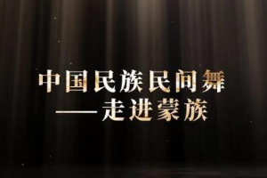 微课：早期教育、学前教育专业《舞蹈基础—走进蒙族民间舞之柔臂》