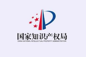 我与知识产权强国建设