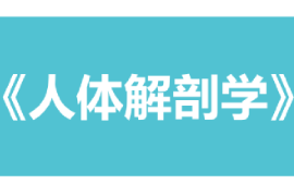 课件：康复治疗学、护理学、助产学专业《人体解剖学》