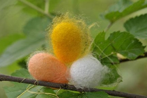 蚕桑生产<em>与</em>经营专业：《养蚕学—生物的成长—养蚕》<em>课程</em><em>思</em><em>政</em><em>课堂教学</em><em>设计</em>