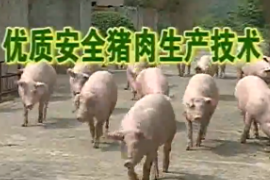 优质<em>安全</em>猪肉<em>生产</em>技术 <em>1</em>