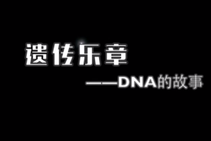 遗传乐章—DNA的故事