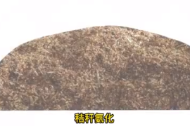 <em>秸秆</em>氨化