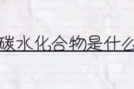 碳水化合物是什么？