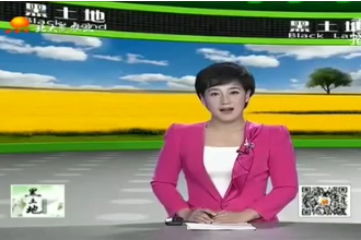 养猪宝典：空怀母猪<em>的</em><em>饲养</em>管理<em>要点</em>