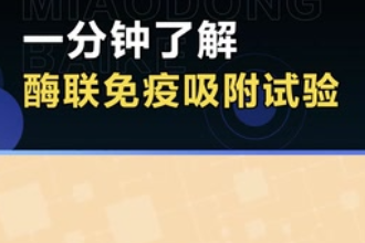 酶联免疫吸附试验—ELISA