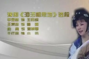 《泪洒相思地》<em>选段</em>