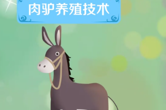 一分钟了解<em>肉</em>驴养殖<em>技术</em>