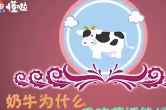 奶牛为什么只<em>吃草</em>还能增肌呢？