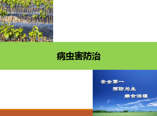 <em>园艺</em><em>技术</em><em>专业</em>：《果树生产创新模块—病虫害防治》<em>课程</em><em>思</em><em>政</em><em>案例</em>