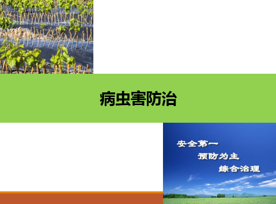 园艺技术专业：《果树生产创新模块—病虫害防治》课程思政案例