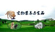 <em>宠物</em><em>养护</em><em>与</em>驯导<em>专业</em>：《<em>宠物</em>营养<em>与</em>食品》<em>课程</em><em>思</em><em>政</em><em>课堂教学</em><em>设计</em>