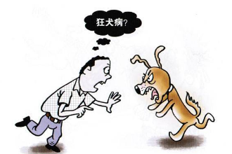 带你了解狂犬病