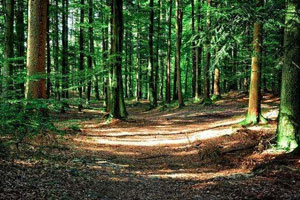 <em>园林</em><em>专业</em>：《<em>计算机辅助设计</em>3d技术—工作界面及<em>基本</em><em>操作</em>（二）》<em>课程</em><em>思</em><em>政</em><em>课堂教学</em><em>设计</em>