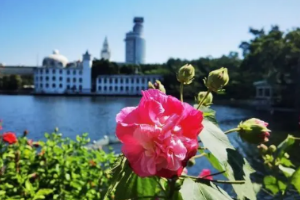 完成生态修复<em>的</em>流花湖(图2）