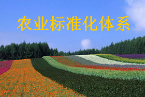 课件：作物生产与经营管理专业《农业标准化》