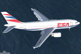 带你了解<em>空中客车</em>A310