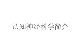 课件：认知科学与技术专业《认知神经科学》