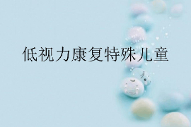 <em>课件</em>：<em>特殊教育</em><em>专业</em>《<em>特殊</em><em>儿童</em><em>康复</em>学—低视力<em>康复</em><em>特殊</em><em>儿童</em>》