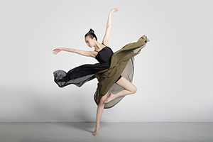 <em>课程标准</em>：<em>戏剧</em>学<em>专业</em>《艺术概论》<em>课程标准</em>