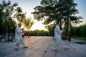 体育教育专业：《太极拳—行太极育人生》课程思政案例