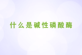 什么是碱性磷酸酶