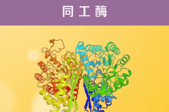 带您了解同工酶
