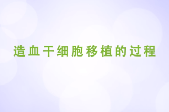 造血干细胞移植的过程