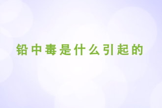 铅中毒是什么引起<em>的</em>