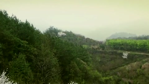 <em>新中国</em>成立