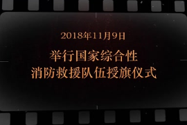 2018年11月9日 举行国家综合性<em>消防</em><em>救援</em>队伍授旗仪式