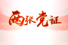 两张党证