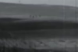 1966年：榜样<em>焦裕禄</em>