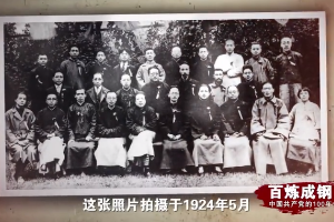 携手国民革命