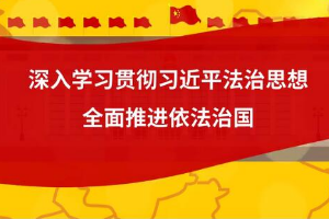 微动漫  “十一个坚持”<em>推进</em><em>全面</em><em>依法治</em>国