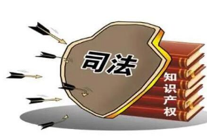 带你了解知识产权法（图4）