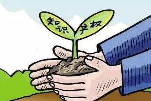 带你了解知识产权法（图3）