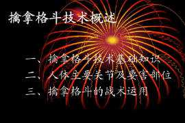 <em>课件</em>：<em>警犬</em><em>技术</em><em>专业</em>《擒拿格斗—<em>概述</em>》