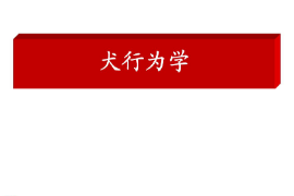<em>课件</em>：<em>警犬</em><em>技术</em><em>专业</em>《犬行为学》