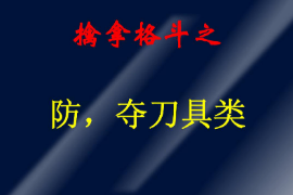 <em>课件</em>：<em>警犬</em><em>技术</em><em>专业</em>《<em>擒拿格斗</em>—防，夺刀具类》