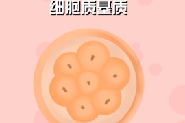 一分钟了解细胞质基质（胞浆）