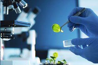 制药工程、园艺、设施、植物保护、农学、种子科学与工程、中药学、草业科学专业：《生物化学—第二章核酸》课程思政案例