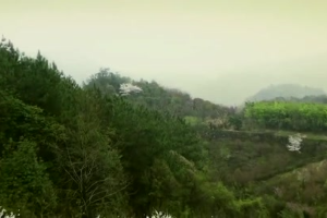 <em>新中国</em><em>成立</em>
